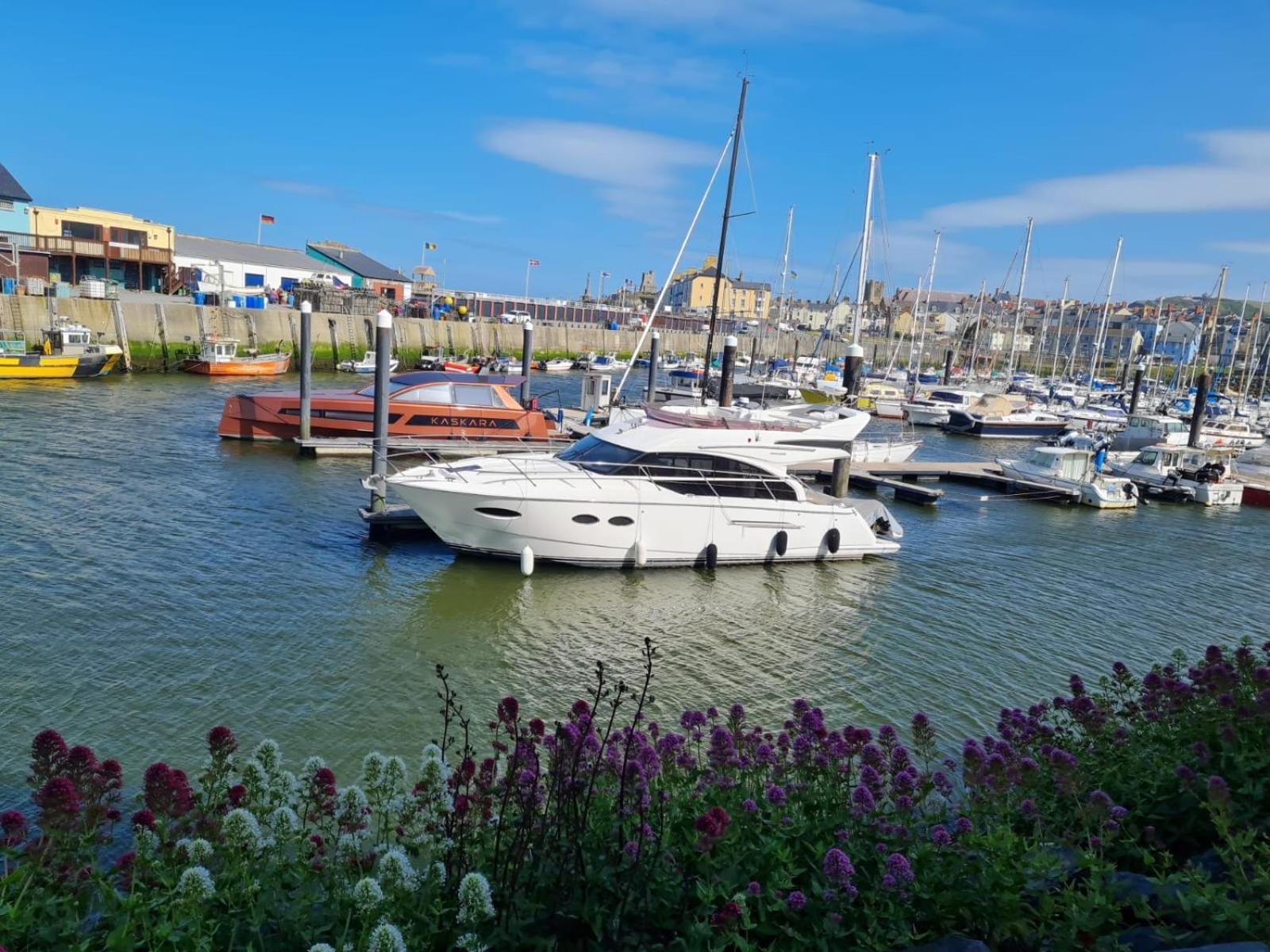 Spacious Luxury Escape With Sea Views And Pet Friendly At Clarach Bay Villa Aberystwyth Exterior photo